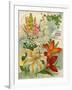 Collection of 10 Beautiful Summer Flowering Bulbs and Lillies-null-Framed Art Print