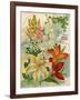 Collection of 10 Beautiful Summer Flowering Bulbs and Lillies-null-Framed Art Print