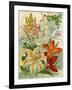 Collection of 10 Beautiful Summer Flowering Bulbs and Lillies-null-Framed Art Print