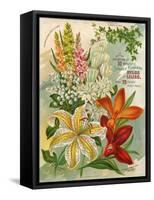 Collection of 10 Beautiful Summer Flowering Bulbs and Lillies-null-Framed Stretched Canvas