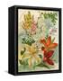 Collection of 10 Beautiful Summer Flowering Bulbs and Lillies-null-Framed Stretched Canvas
