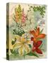 Collection of 10 Beautiful Summer Flowering Bulbs and Lillies-null-Stretched Canvas