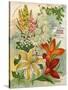 Collection of 10 Beautiful Summer Flowering Bulbs and Lillies-null-Stretched Canvas
