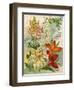 Collection of 10 Beautiful Summer Flowering Bulbs and Lillies-null-Framed Art Print