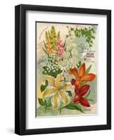 Collection of 10 Beautiful Summer Flowering Bulbs and Lillies-null-Framed Art Print