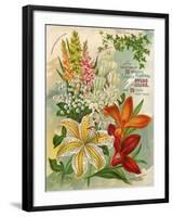 Collection of 10 Beautiful Summer Flowering Bulbs and Lillies-null-Framed Art Print