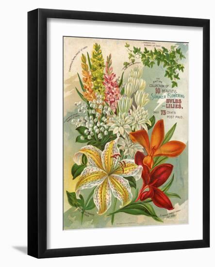 Collection of 10 Beautiful Summer Flowering Bulbs and Lillies-null-Framed Art Print