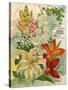 Collection of 10 Beautiful Summer Flowering Bulbs and Lillies-null-Stretched Canvas