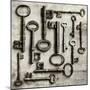 Collection of Antique Keys in a Square-Tom Quartermaine-Mounted Giclee Print