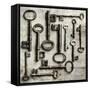 Collection of Antique Keys in a Square-Tom Quartermaine-Framed Stretched Canvas