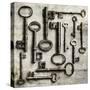 Collection of Antique Keys in a Square-Tom Quartermaine-Stretched Canvas