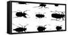 Collection of Beetles on Display. Santa Fe, New Mexico. Usa-Julien McRoberts-Framed Stretched Canvas