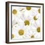 Collection of Daisies-Tom Quartermaine-Framed Giclee Print