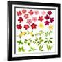 Collection of Different Flowers and Leaves on White-annanurrka-Framed Art Print