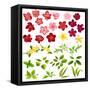 Collection of Different Flowers and Leaves on White-annanurrka-Framed Stretched Canvas