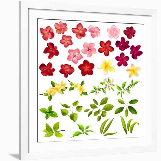 Collection of Different Flowers and Leaves on White-annanurrka-Framed Art Print