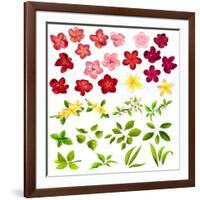 Collection of Different Flowers and Leaves on White-annanurrka-Framed Art Print