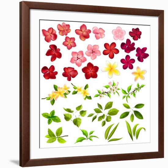 Collection of Different Flowers and Leaves on White-annanurrka-Framed Art Print