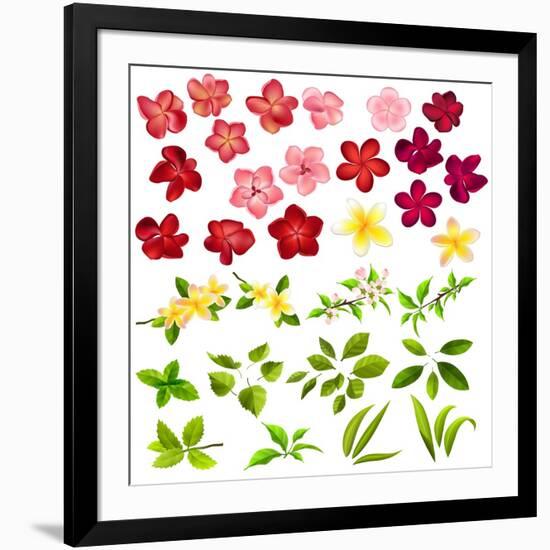 Collection of Different Flowers and Leaves on White-annanurrka-Framed Art Print