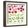 Collection of Different Flowers and Leaves on White-annanurrka-Framed Art Print