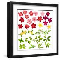 Collection of Different Flowers and Leaves on White-annanurrka-Framed Art Print