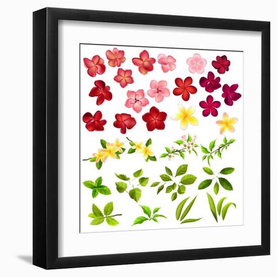 Collection of Different Flowers and Leaves on White-annanurrka-Framed Art Print