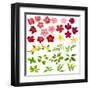 Collection of Different Flowers and Leaves on White-annanurrka-Framed Art Print