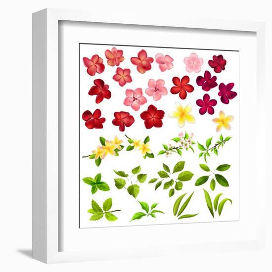 Collection of Different Flowers and Leaves on White-annanurrka-Framed Art Print