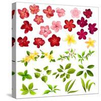Collection of Different Flowers and Leaves on White-annanurrka-Stretched Canvas