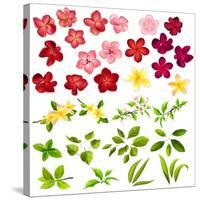 Collection of Different Flowers and Leaves on White-annanurrka-Stretched Canvas