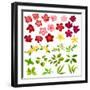 Collection of Different Flowers and Leaves on White-annanurrka-Framed Art Print