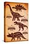 Collection of Dinosaurs with their Cutting Scheme-111chemodan111-Stretched Canvas