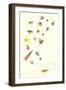 Collection of Fishing Lures-null-Framed Art Print