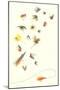 Collection of Fishing Lures-null-Mounted Art Print