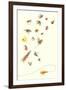 Collection of Fishing Lures-null-Framed Art Print