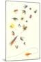 Collection of Fishing Lures-null-Mounted Art Print