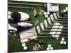 Collection of Golf Equipment; Shoes, Clubs, Etc-Karen M^ Romanko-Mounted Photographic Print