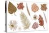Collection of Hand Drawn Watercolor Boho Flowers and Leaves. Illustrations Isolated on White Backdr-Lema_art-Stretched Canvas