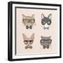 Collection of Hipster Cats-Macrovector-Framed Art Print