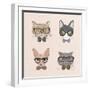 Collection of Hipster Cats-Macrovector-Framed Art Print