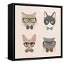 Collection of Hipster Cats-Macrovector-Framed Stretched Canvas