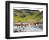 Collection of Horses II-null-Framed Photographic Print