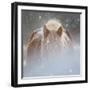 Collection of Horses V-null-Framed Photographic Print