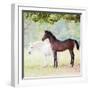 Collection of Horses VII-null-Framed Photographic Print