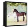 Collection of Horses VII-null-Framed Stretched Canvas