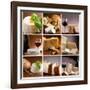 Collection Of Italian Cheese And Wine-Marco Mayer-Framed Art Print