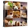 Collection Of Italian Cheese And Wine-Marco Mayer-Stretched Canvas