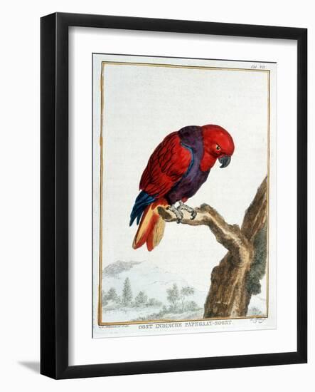 Collection of Rare Animals, Quadrupeds, Birds and Serpents, from Eastern and Western India-A. Vosmaer-Framed Giclee Print