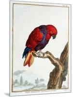 Collection of Rare Animals, Quadrupeds, Birds and Serpents, from Eastern and Western India-A. Vosmaer-Mounted Giclee Print