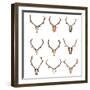 Collection of Red Deer Trophies-taviphoto-Framed Photographic Print